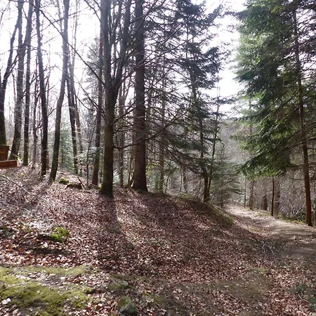 Au Calme Avec Terrasse, Bbq, Ping-pong, Rando/vtt, Proche St-bonnet-le-chateau, Wifi Gratuit - Fr-1-496-122 度假居 Apinac